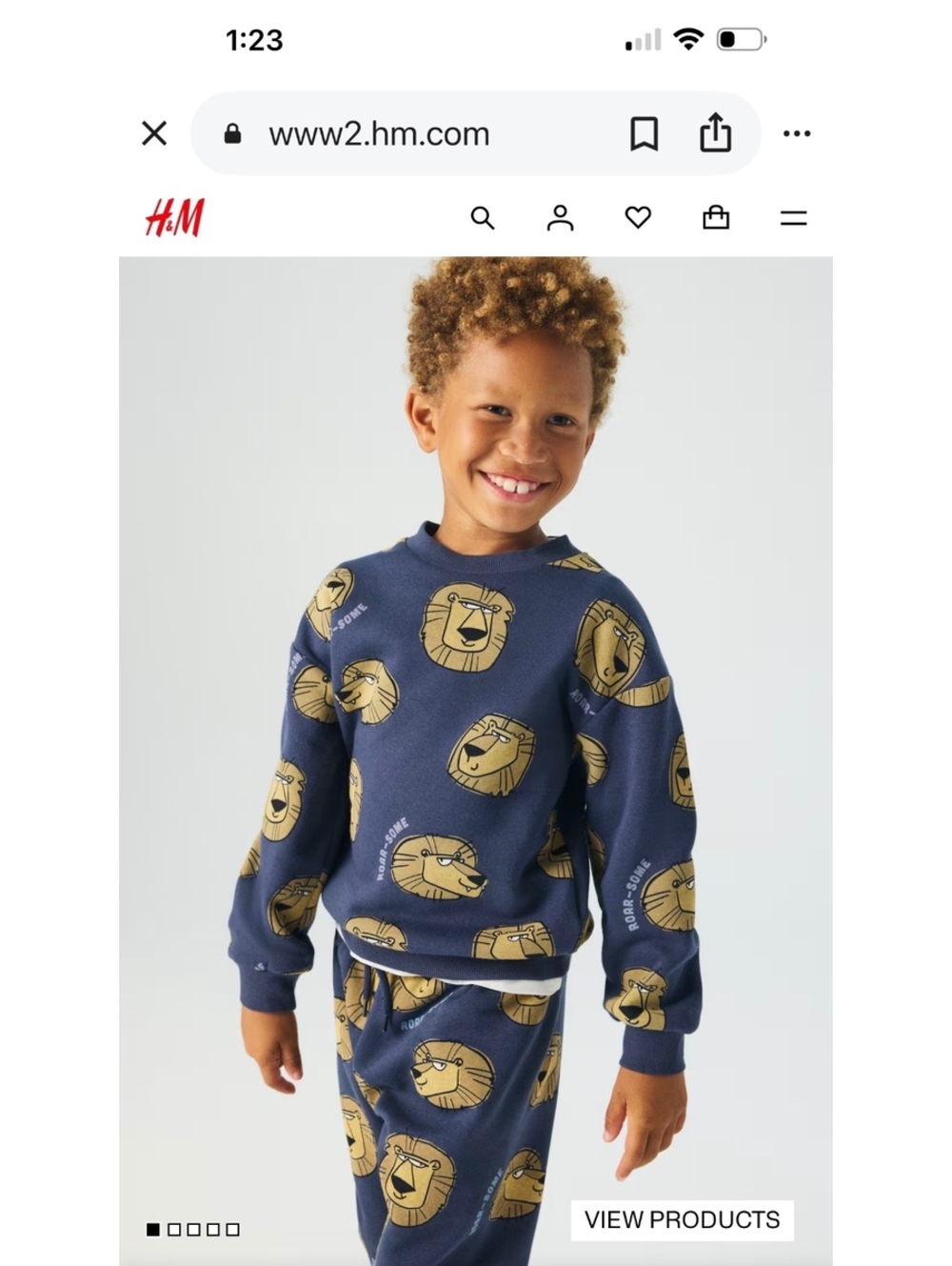 H&M Boys Lion Sweat Set